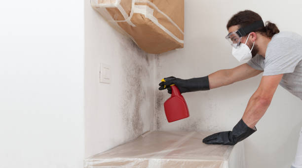 Professional Black Mold Removal technician working in Poquoson, VA