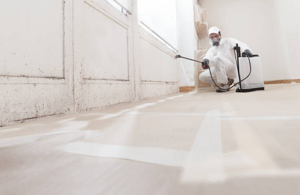 24/7 Emergency Black Mold Removal experts in Poquoson, VA
