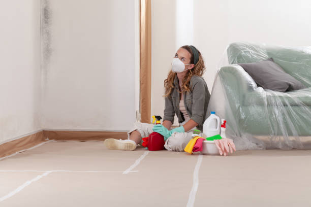 Reliable Black Mold Removal contractor in Poquoson, VA by WQB Mold Removal